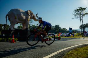 BIB: 
                            <button type="button" onclick="openModal(26182986)" class="btn btn-primary btn-sm float-right btn-popup" data-toggle="modal" data-target=".modal-high-quality">
                        <i class="fas fa-shopping-cart"></i> Add to Cart
                    </button>
                                            <button type="button" onclick="isThisMe(26182986, true)" class="btn btn-success btn-sm float-right btn-popup btn-isme hidden" data-toggle="tooltip" data-placement="bottom" title="นี่คือรูปของคุณใช่ไหม คลิกที่นี่เพื่อเอาเข้าอัลบั้ม">
                        <i class="fas fa-plus"></i> Add to album
                    </button>
                    <button type="button" onclick="isThisMe(26182986, false)" class="btn btn-warning btn-sm float-right btn-popup btn-isnotme hidden">
                        <i class="fas fa-ban"></i> Remove from album
                    </button>